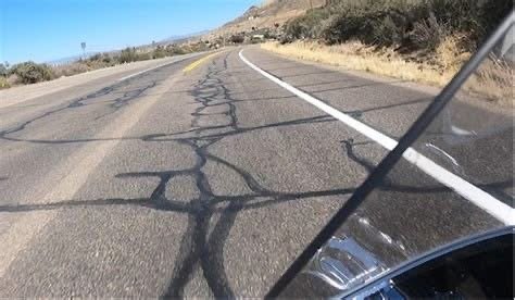 Tar Snakes!